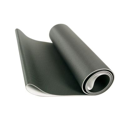 schwinn airdyne computer