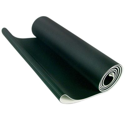 GoPro Treadmill Belt fits Certain Landice 8700