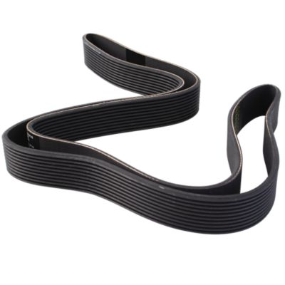 Primary Drive Belt, Cybex 530C/530R